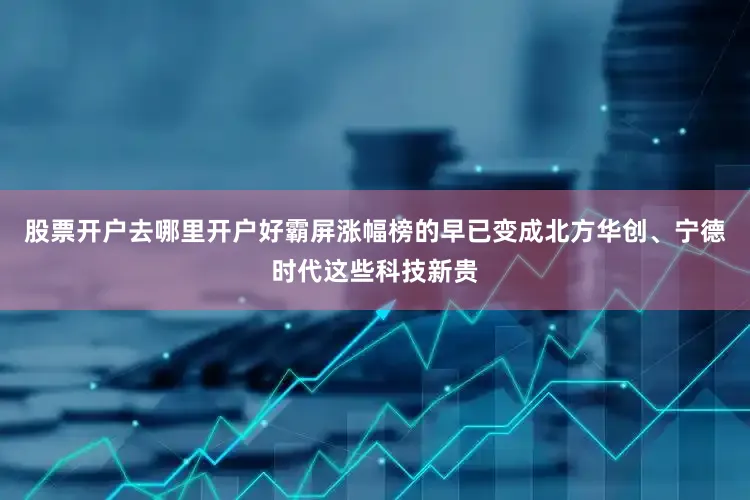 股票开户去哪里开户好霸屏涨幅榜的早已变成北方华创、宁德时代这些科技新贵