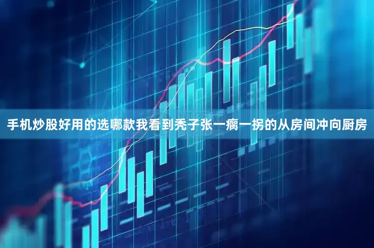 手机炒股好用的选哪款我看到秃子张一瘸一拐的从房间冲向厨房