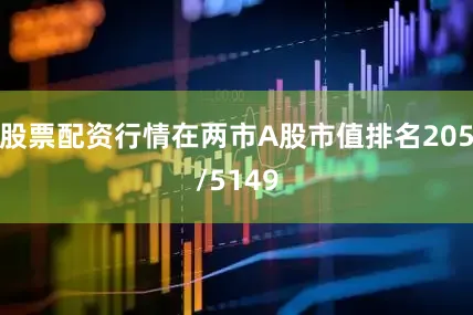 股票配资行情在两市A股市值排名205/5149