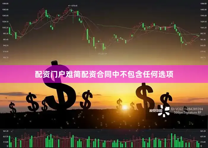 配资门户难简配资合同中不包含任何选项