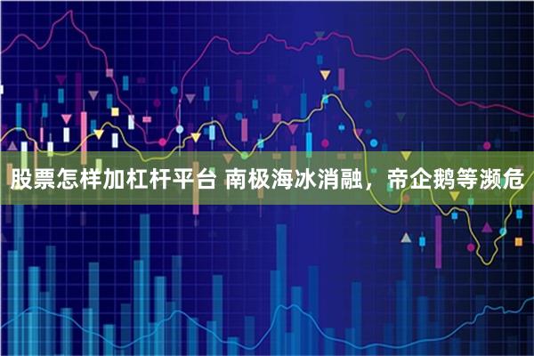 股票怎样加杠杆平台 南极海冰消融，帝企鹅等濒危